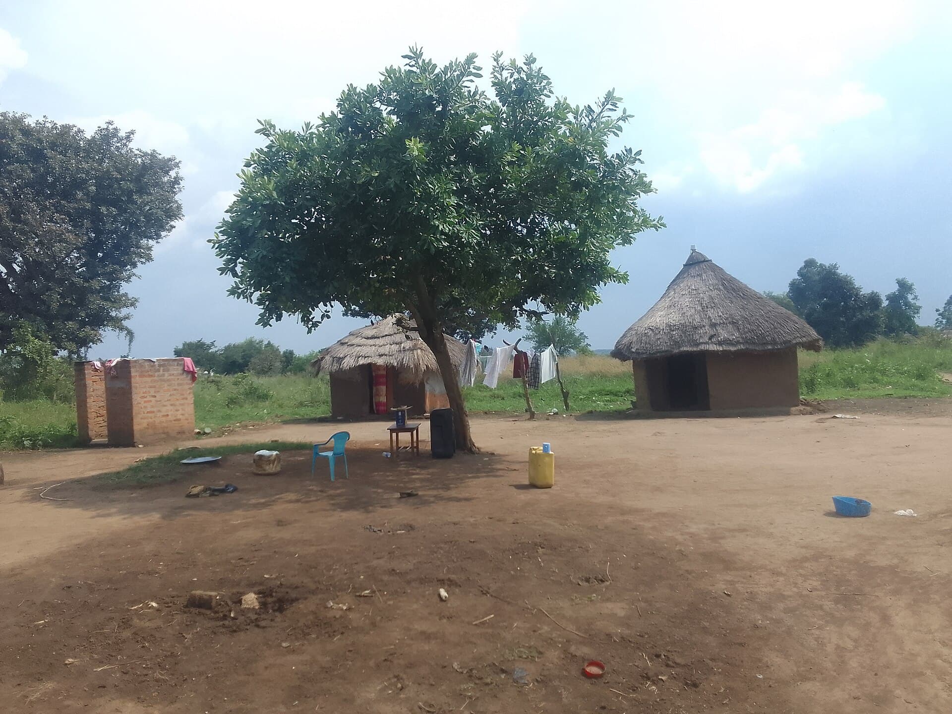 A rural homestead in Uganda with grass-thatched mud houses